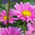 Husk parforholdet i en travl hverdag - 4 små ideer til mere kærlighed i hverdagen