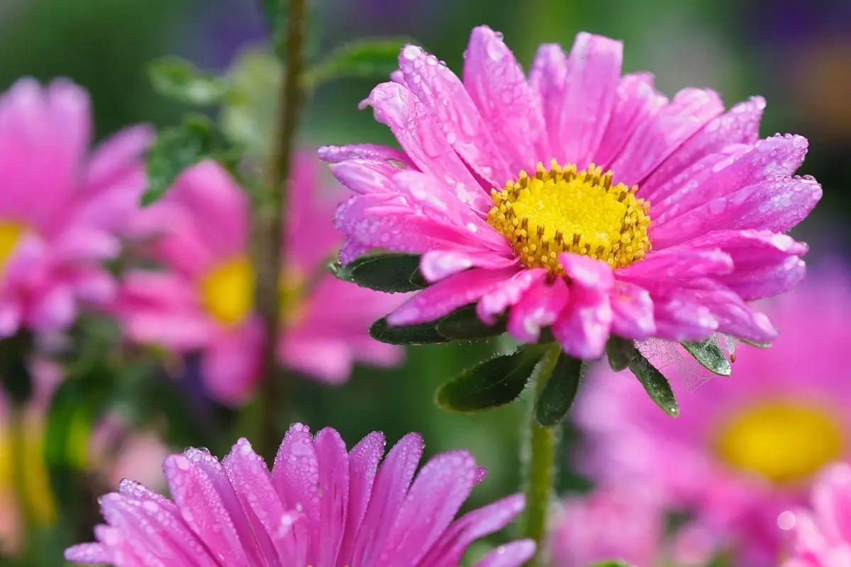 Husk parforholdet i en travl hverdag - 4 små ideer til mere kærlighed i hverdagen